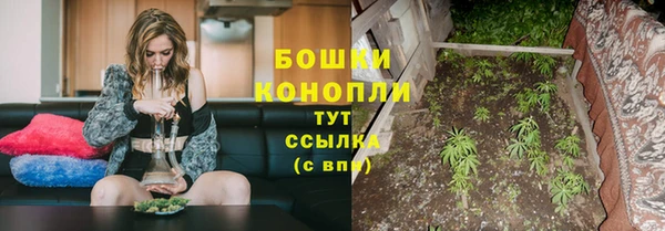 ПСИЛОЦИБИНОВЫЕ ГРИБЫ Сафоново