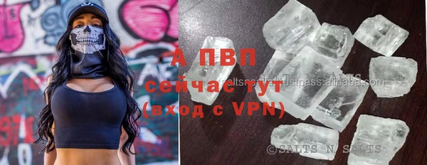ПСИЛОЦИБИНОВЫЕ ГРИБЫ Сафоново