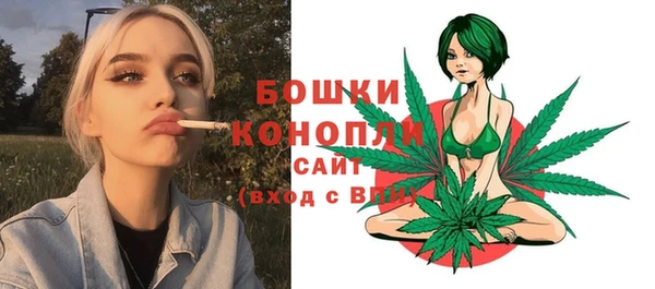 ПСИЛОЦИБИНОВЫЕ ГРИБЫ Сафоново