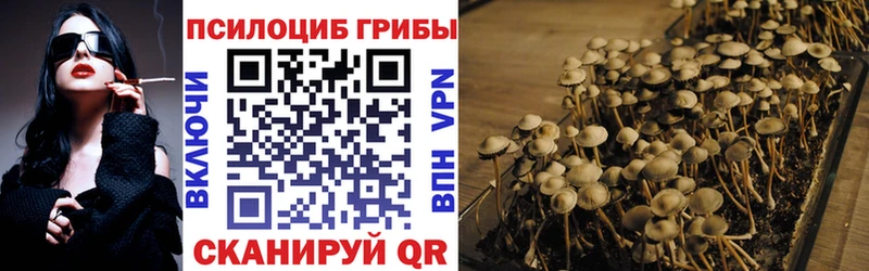 Галлюциногенные грибы ЛСД  Братск 