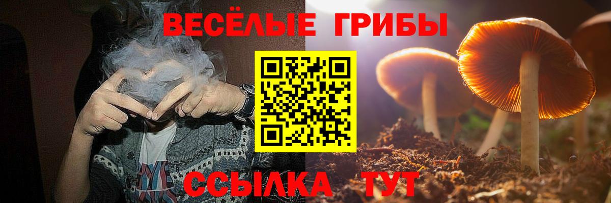 Братск  Галлюциногенные грибы MAGIC MUSHROOMS  Вход с VPN  Псилоцибиновые грибы Psilocybe 