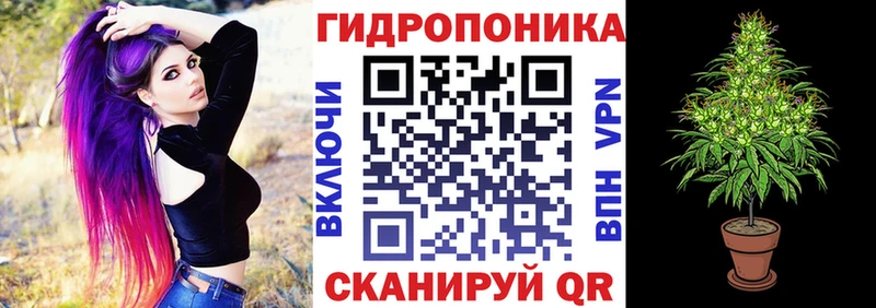 цена   Братск  hydra ONION  Канабис SATIVA & INDICA 